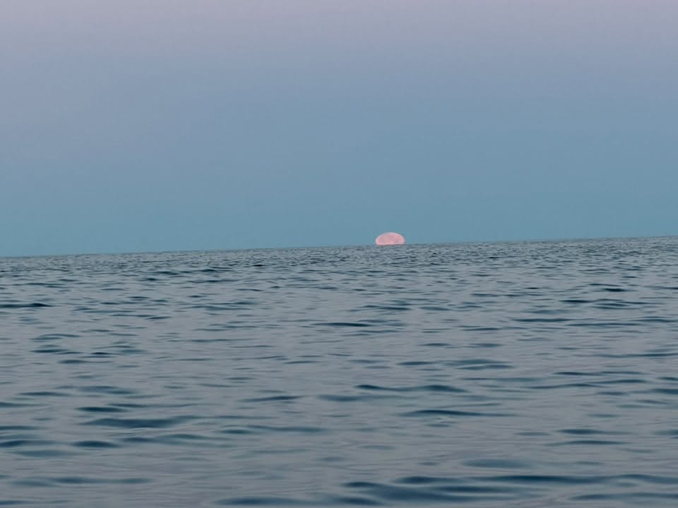 Voyage photograph 2
