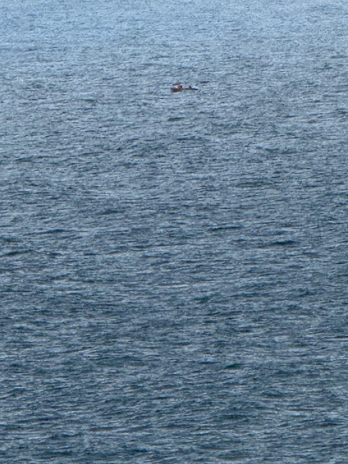 Voyage photograph 7